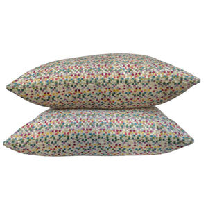 Sprinkles Multicolor Velvet Pillow Covers- PAIR